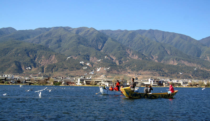 Fisherman on Erhai Lake