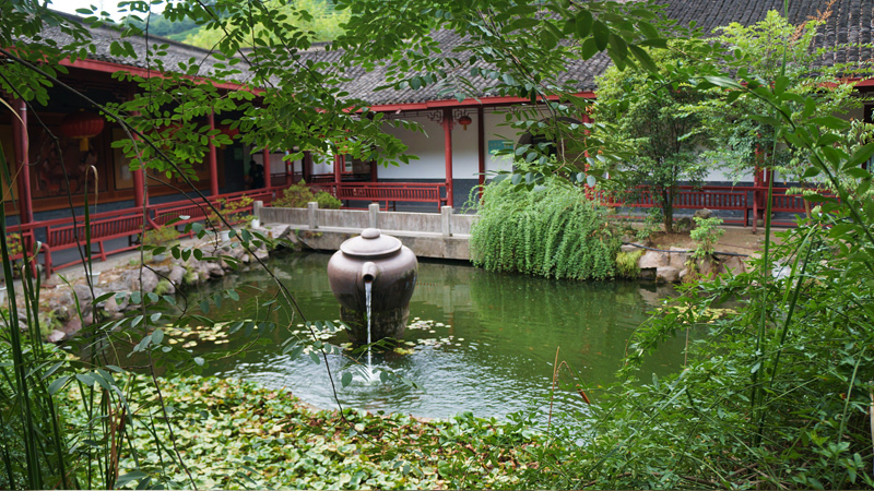 Dragon Well Tea Plantation