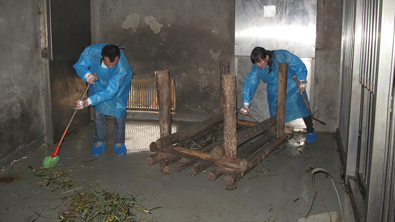 Cleaning Panda House