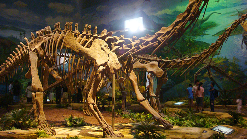 The Zigong Dinosaur Museum