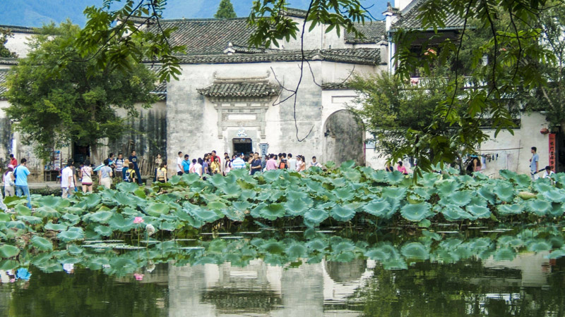 Hongcun Village in Summer
