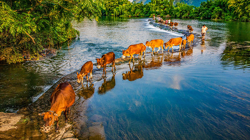 Scenic View of Yangshuo
