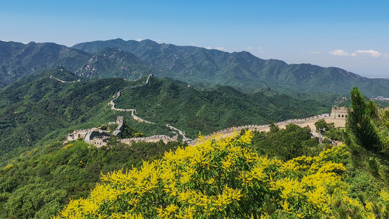 Great Wall of China