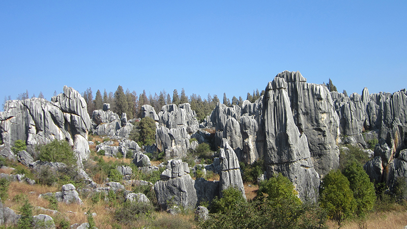 Stone Forest in Kunming