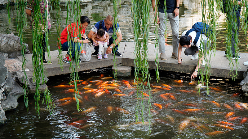 People feed fish in Yu Garden
