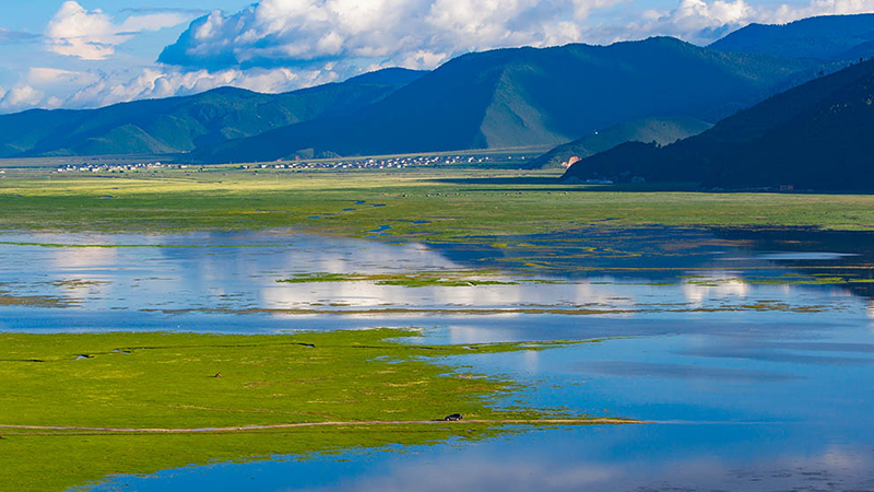 Mild weather of Napa Lake in Yunnan