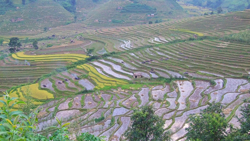 Yuanyang Rice Terraces