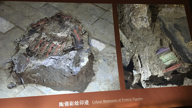 Color remnants of Terracotta Warriors