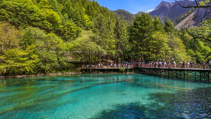 Jiuzhaigou Valley on a sunny day