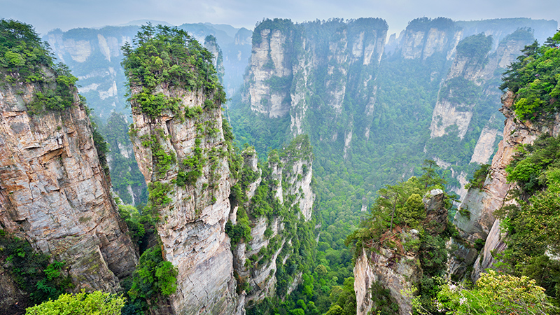 The aerial view of the Avatar mountains