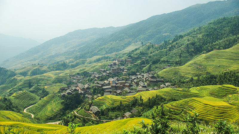 Ethnic houses at Longji Rice Terraces