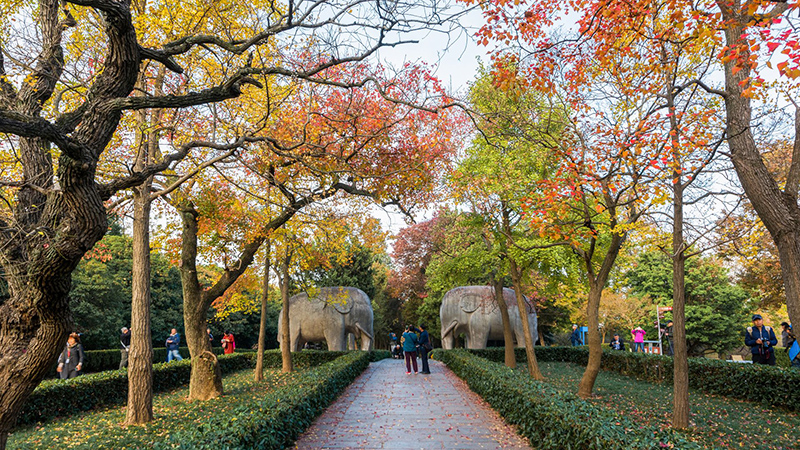 Scenic autumn view of Nanjing