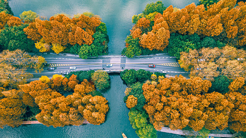 Autumn scenery of Hangzhou