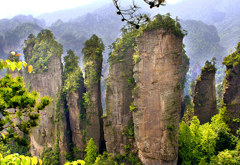 Limestone peaks in Zhangjiajie National Park