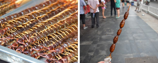 Special food in Beijing Food Stall