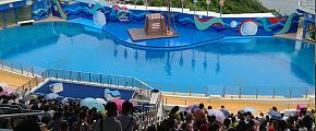 Hong Kong Ocean Park 