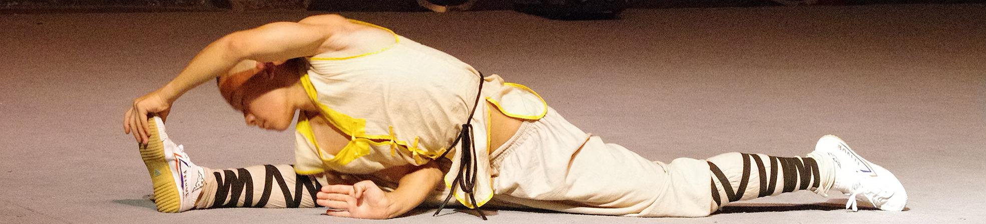 Shaolin Boxing of Chinese Kongfu