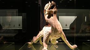 Explore the Shanghai Museum: Your Essential Visitor's Guide