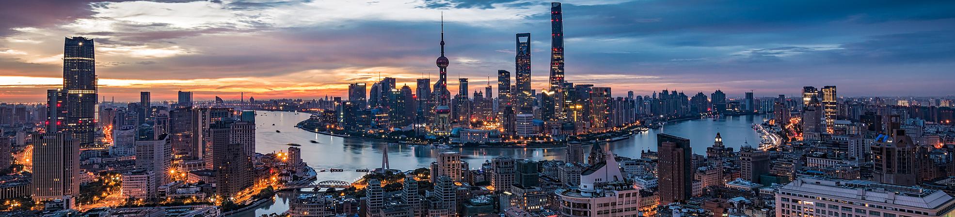 Explore the Shanghai Museum: Your Essential Visitor's Guide