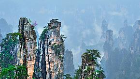 Flowers bloom on the Hallelujah mountains