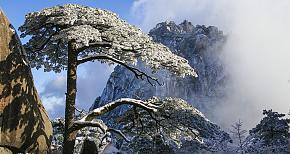 Huangshan Travel Guide