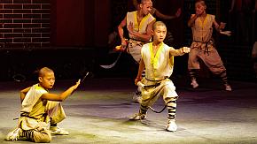 Chinese Kungfu and Wushu
