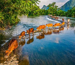 China Tour with Guilin