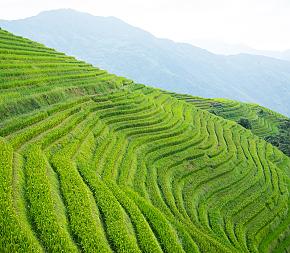 Photography Tours including Longji