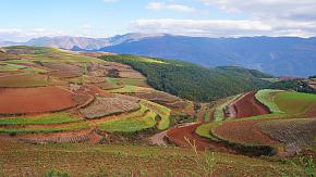 Dongchuan Red Land