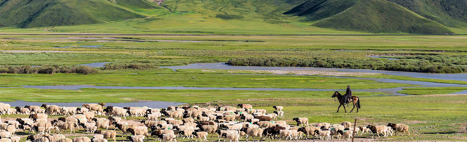 Looking for a Hassle-Free China Trip?