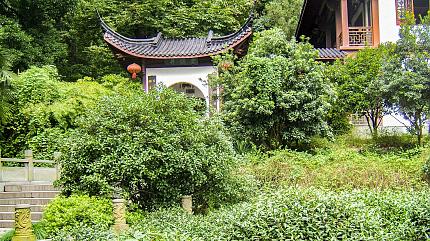 Dragon Well Tea Plantation, Hangzhou