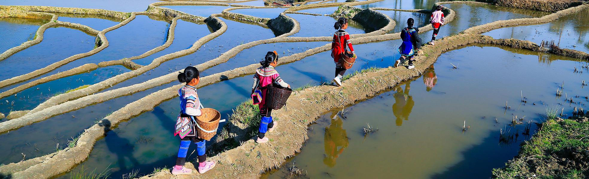 Yuanyang Terraced Fields