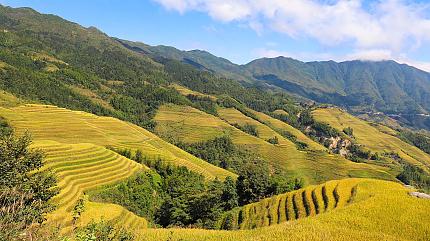 Longji Rice Terraces, Guilin