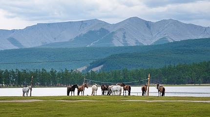 Hustai National Park