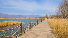 Yanqing Wild Duck Lake