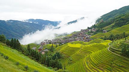 Longji Rice Terraces, Guilin