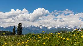 glassland in xinjiang