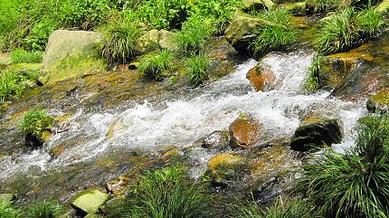 The Golden Whip Stream, Zhangjiajie