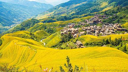 Terraced Rice Fields, Longsheng