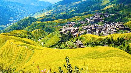 Longji Rice Terraces, Longsheng